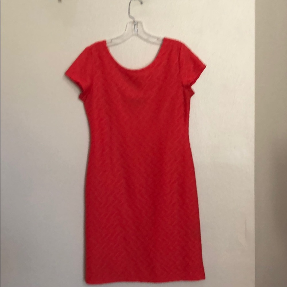 Sharango stretch dress